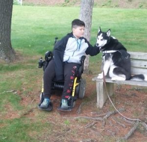 Boy seated in power wheelchair on grass with tree roots, leans to pet a dog on a park bench. 